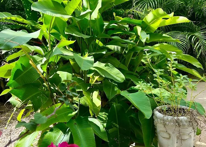 Casa Marina Guanacaste Huacas